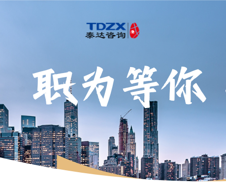 人工智能咨詢項(xiàng)目負(fù)責(zé)人